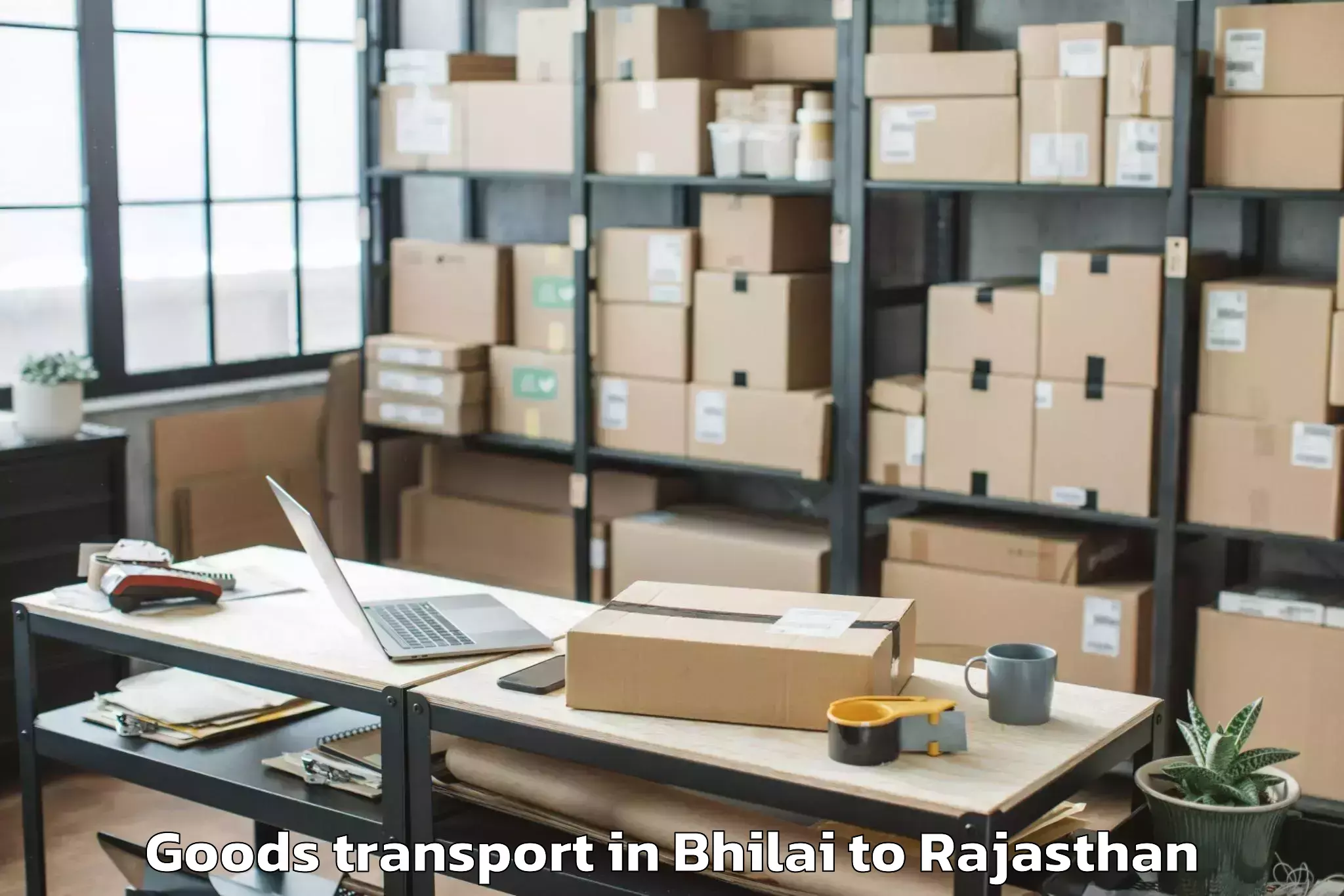 Book Your Bhilai to Bandikui Goods Transport Today